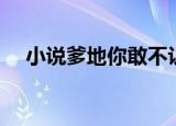 小说爹地你敢不认我（爹地你敢不认我）