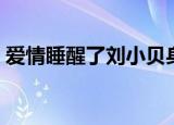 爱情睡醒了刘小贝身世（爱情睡醒了刘小贝）