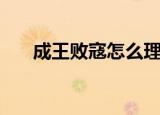 成王败寇怎么理解（成王败寇的意思）