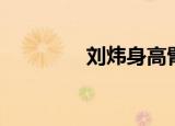 刘炜身高臂展（刘炜身高）
