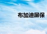 布加迪屏保（布加迪威航壁纸）