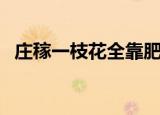 庄稼一枝花全靠肥当家意思（庄稼一枝花）