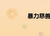 暴力慈善家（暴力慈善）