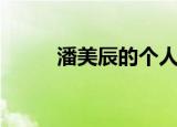 潘美辰的个人简历（潘美辰近况）