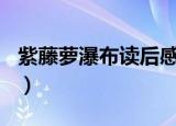 紫藤萝瀑布读后感600字（紫藤萝瀑布读后感）