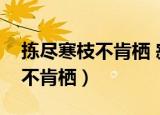 拣尽寒枝不肯栖 寂寞沙洲冷赏析（拣尽寒枝不肯栖）