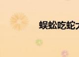 蜈蚣吃蛇大战（蜈蚣吃蛇）