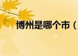 博州是哪个市（博州是哪个省的城市）
