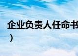 企业负责人任命书怎么写（企业负责人任命书）