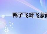 鸭子飞呀飞蒙面唱将（鸭子飞呀飞）