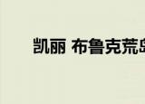 凯丽 布鲁克荒岛惊魂（凯丽 布鲁克）