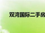 双湾国际二手房房源（双湾国际房价）