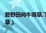 碧野田间牛得草,下联是什么?（碧野田间牛得草）