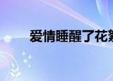 爱情睡醒了花絮（爱情睡醒了吻戏）