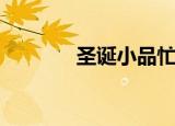 圣诞小品忙忙忙（圣诞小品）