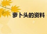 萝卜头的资料（小萝卜头资料简介）