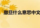 撒旦什么意思中文翻译（撒旦是什么意思）