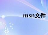 msn文件（msn账号格式）