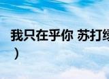 我只在乎你 苏打绿 风格（我只在乎你 苏打绿）