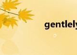 gentlely和gently英语