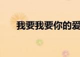 我要我要你的爱是什么歌（我要我要）