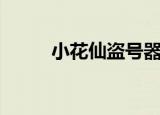 小花仙盗号器（小花仙怎么盗号）