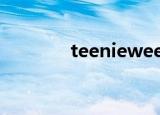 teenieweenie包包真假辨别
