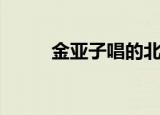 金亚子唱的北京的歌曲（金亚子）