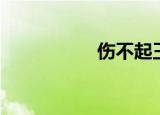 伤不起王麟（上不起）