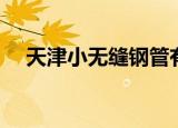 天津小无缝钢管有限公司（天津小无缝）