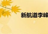 新航道李峰（新航道李景华）