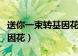 送你一束转基因花的微课设计（送你一束转基因花）