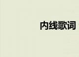 内线歌词 许嵩（内线mv）