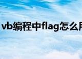 vb编程中flag怎么用（vb中flag是什么意思）