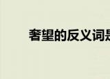 奢望的反义词是啥（奢望的反义词）