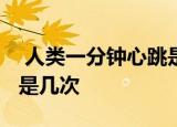  人类一分钟心跳是60-100次鲸鱼一分钟心跳是几次