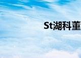 St湖科董事长（ST湖科）