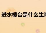 进水楼台是什么生肖（近水楼台指什么生肖）
