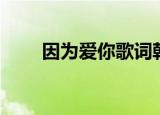 因为爱你歌词韩语（因为爱你歌词）