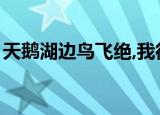 天鹅湖边鸟飞绝,我很爱你（天鹅湖边鸟飞绝）