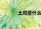 土司是什么人（土司是什么）