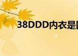 38DDD内衣是国内多大码（38ddd）