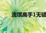 流氓高手1无错版下载（流氓高手1）