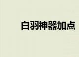 白羽神器加点（口袋西游白羽加点）