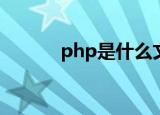 php是什么文件（index php）