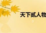 天下贰人物（天下贰英雄榜）