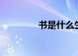 书是什么生肖（书是什么）