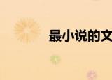 最小说的文章（最小说文章）