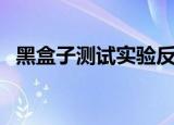 黑盒子测试实验反思与总结（黑盒子测试）