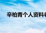 辛柏青个人资料老婆（辛柏青个人资料）